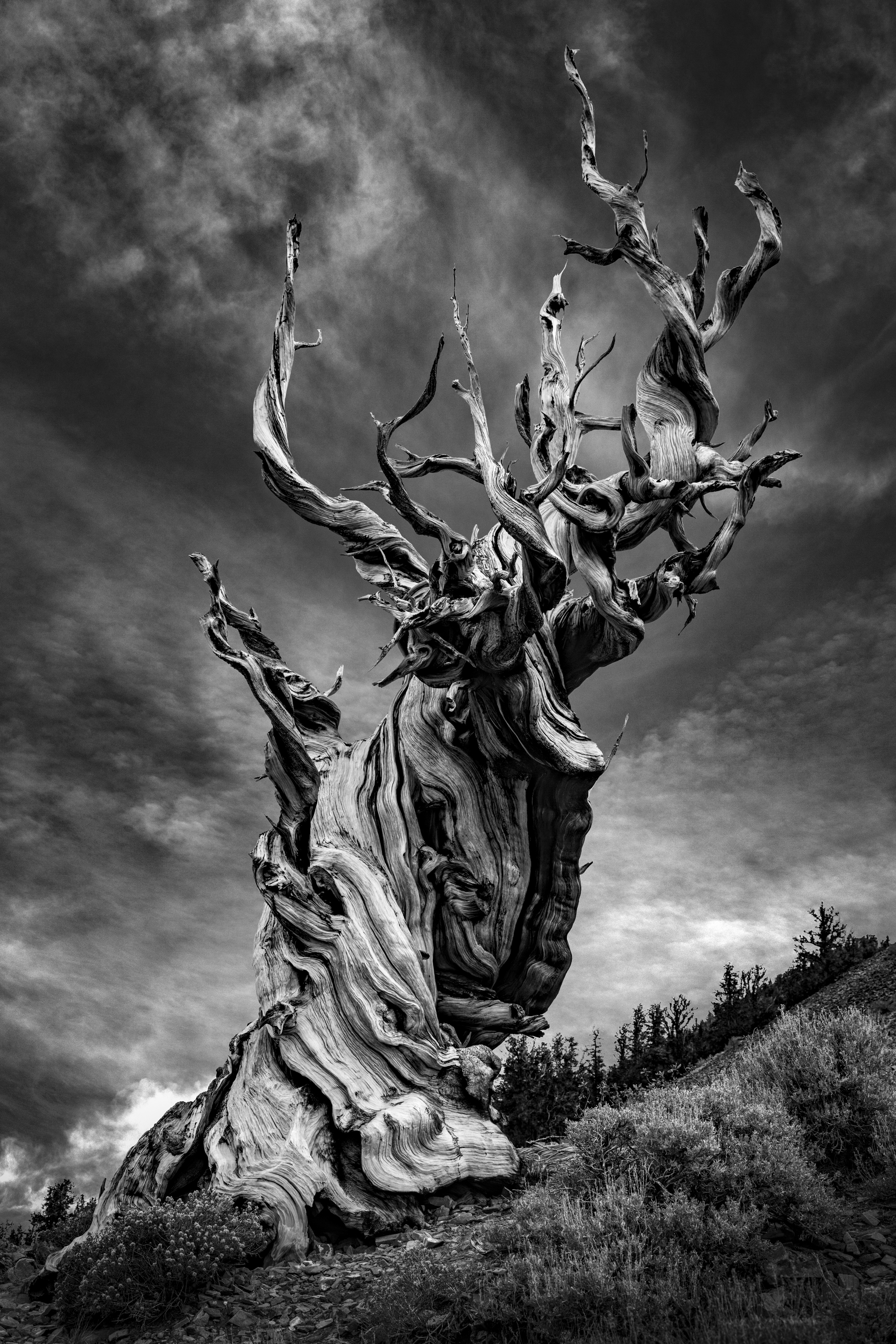 3C8A2136-Edit | John Grusd Photography